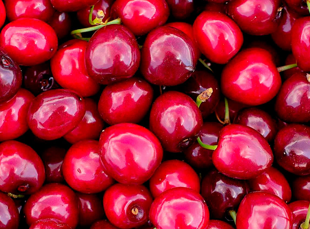 Cereja Amarga