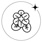 Topo