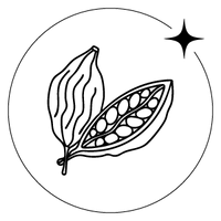 Gengibre, Cidra, Canela, Cardamomo e Rosa